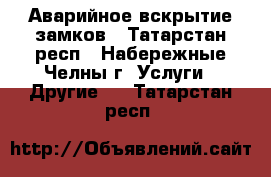 Help. Аварийное вскрытие замков - Татарстан респ., Набережные Челны г. Услуги » Другие   . Татарстан респ.